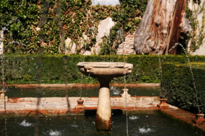 一瞬だけども暑さを忘れさせてくれます