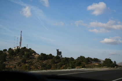 黒い雄牛の看板