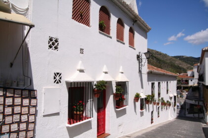 赤い花が一段と目立ちます