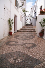 ここの特徴は石畳