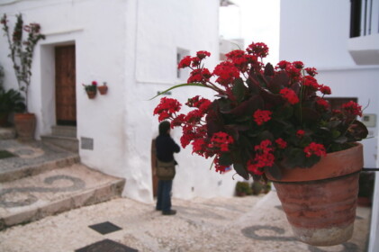 どこを撮っても絵になる