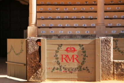 興奮した牛から逃げる場所