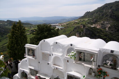 墓場からの景色