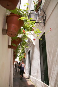 花の小道Calleja de las Flores