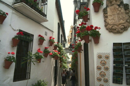 メスキータの塔が見える