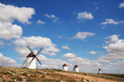 ここは羽が壊れている胴体が多い