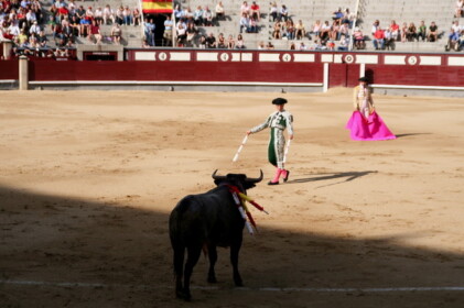 バンデリジェロ