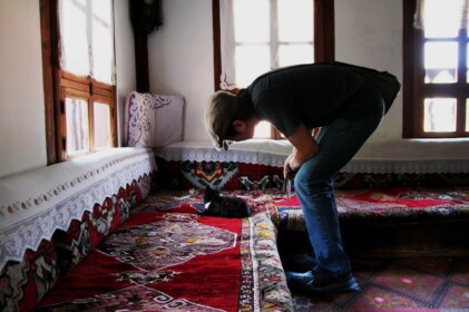 生きているネコでした