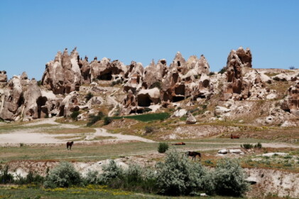 いろんな景色に出会える