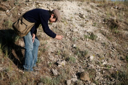 偶然見つけた野性のリクガメ