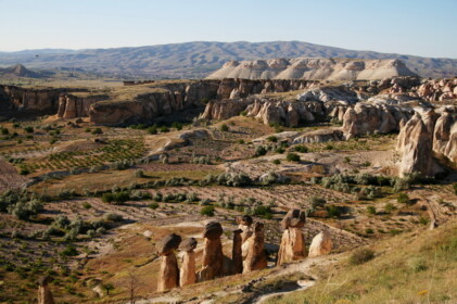 飽きることがない光景
